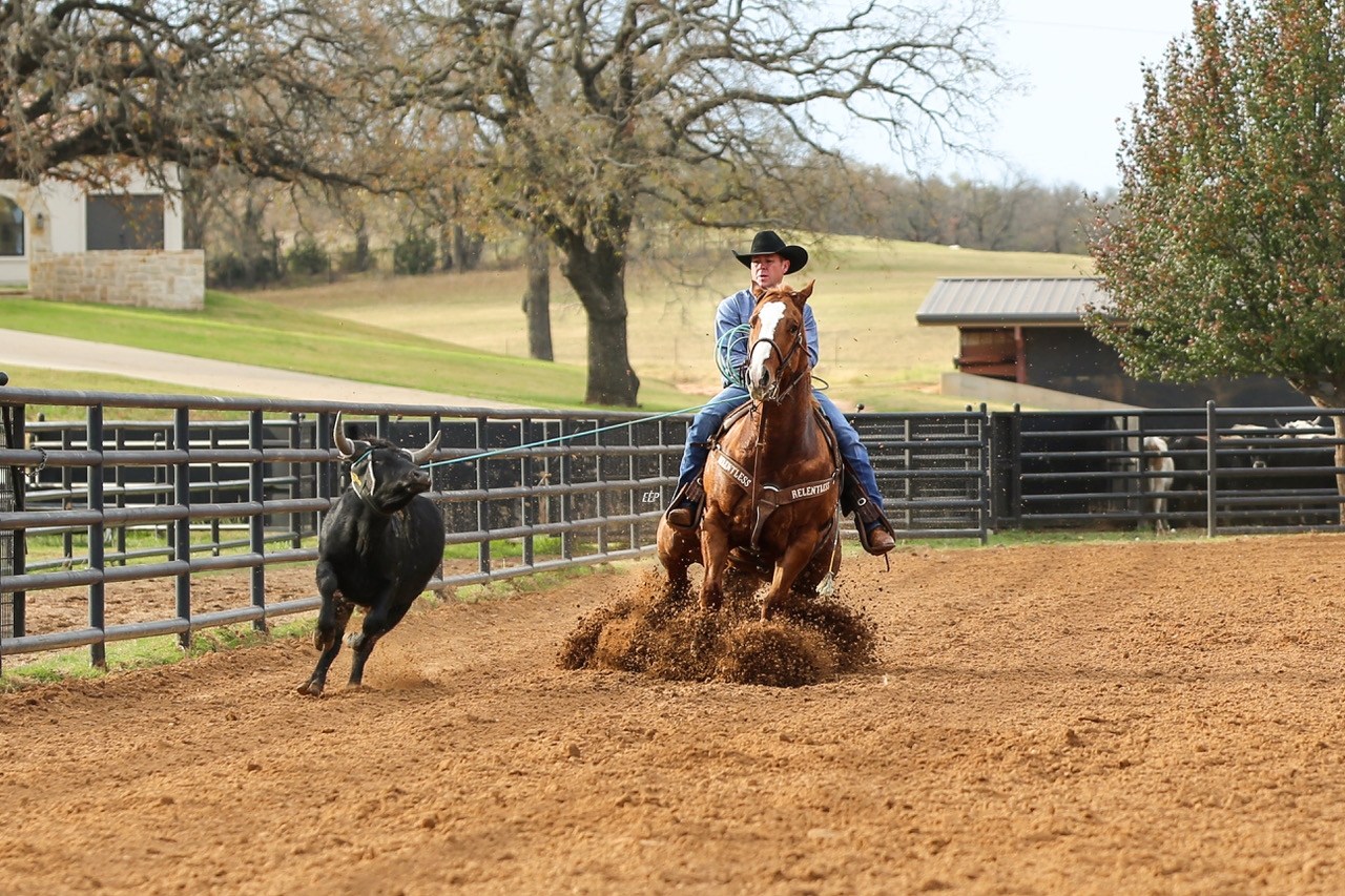 Trevor Brazile and Captain Photo by ranchorioaz.com