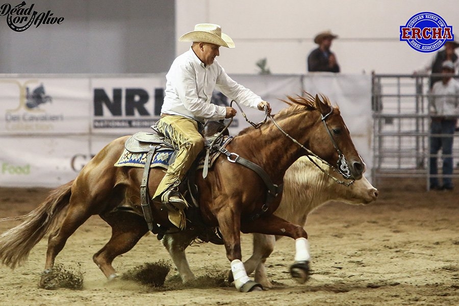 Photo by Dead or Alive