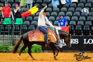 Photo by Dead or Alive