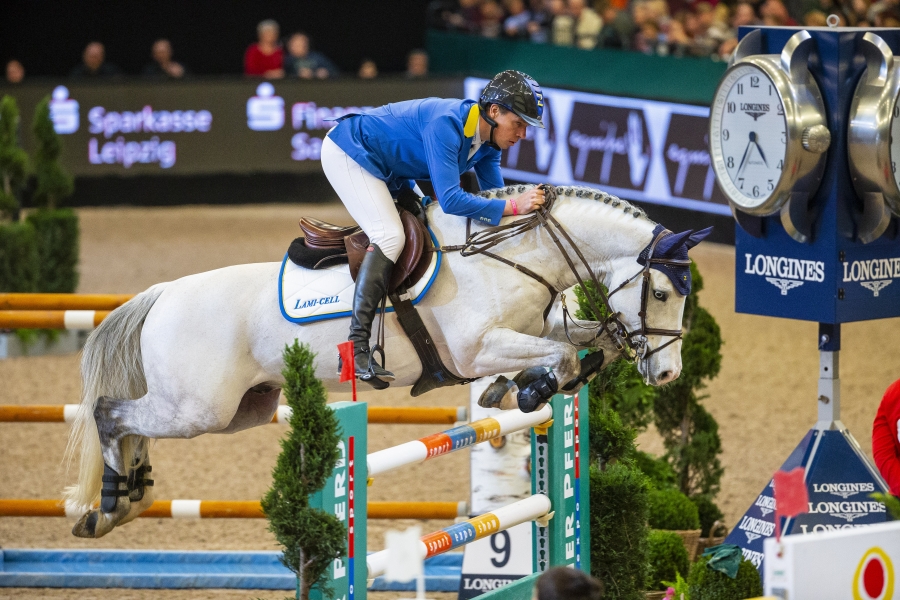 © FEI / Leanjo de Koster