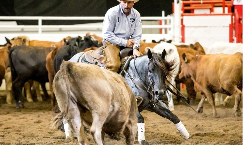 Photo by Hudyma Photography - Quarter Horse News