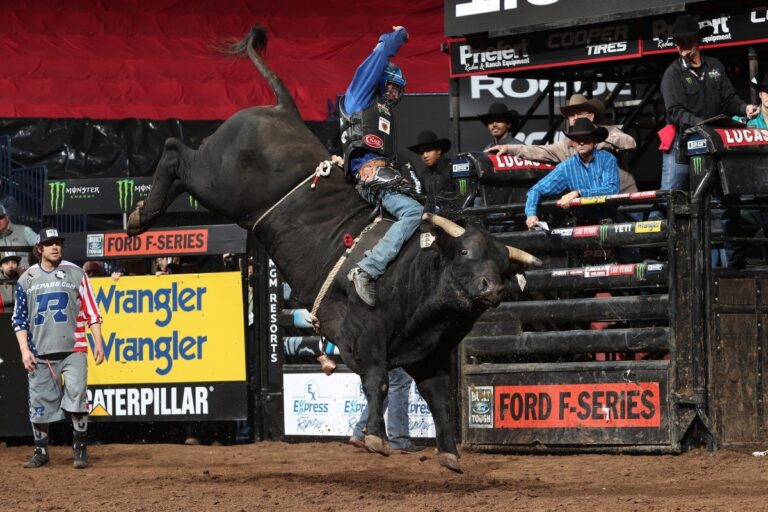 Photo by Andy Watson, Bull Stock Media