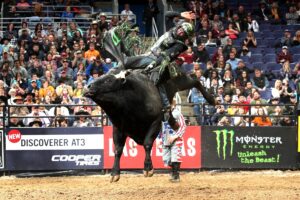 Photo by Andy Watson, Bull Stock Media