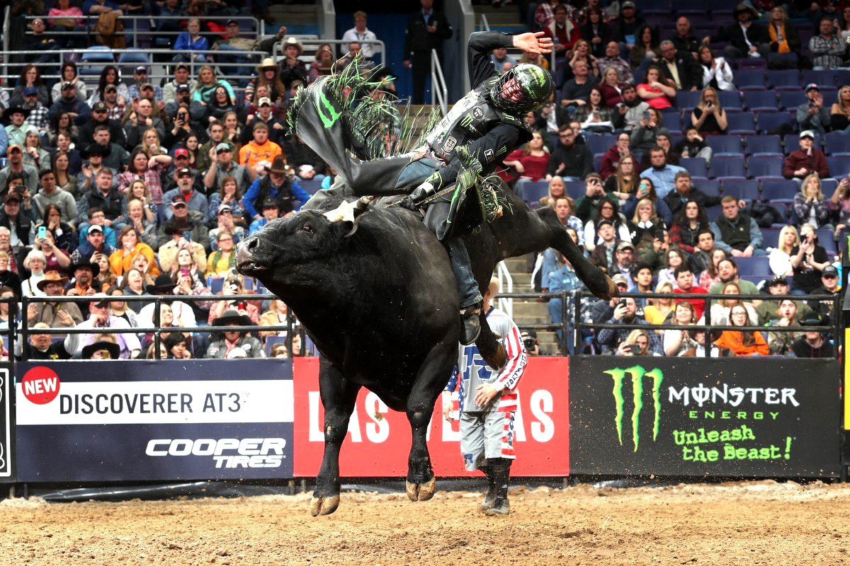 Photo by Andy Watson, Bull Stock Media