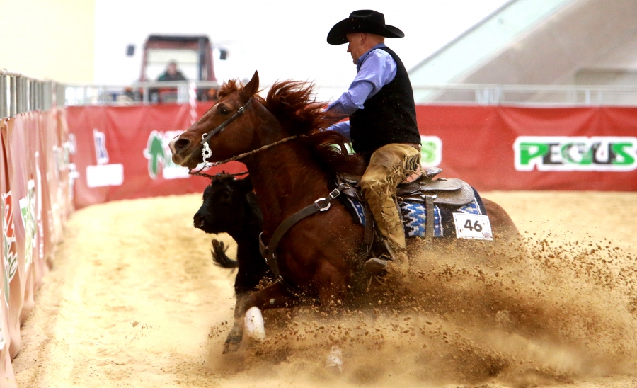 Photo by Dead or Alive