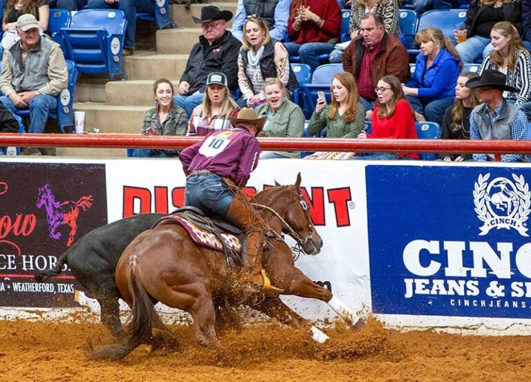 Photo Courtesy NRCHA