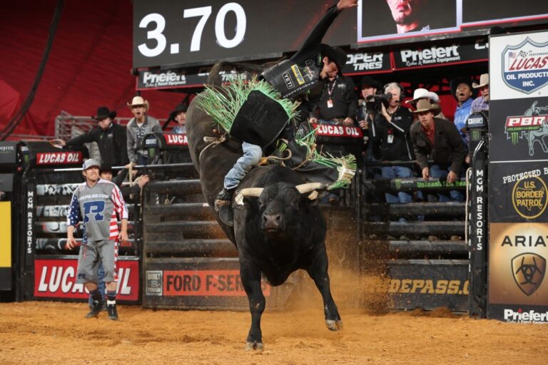 Photo by Andy Watson, Bull Stock Media