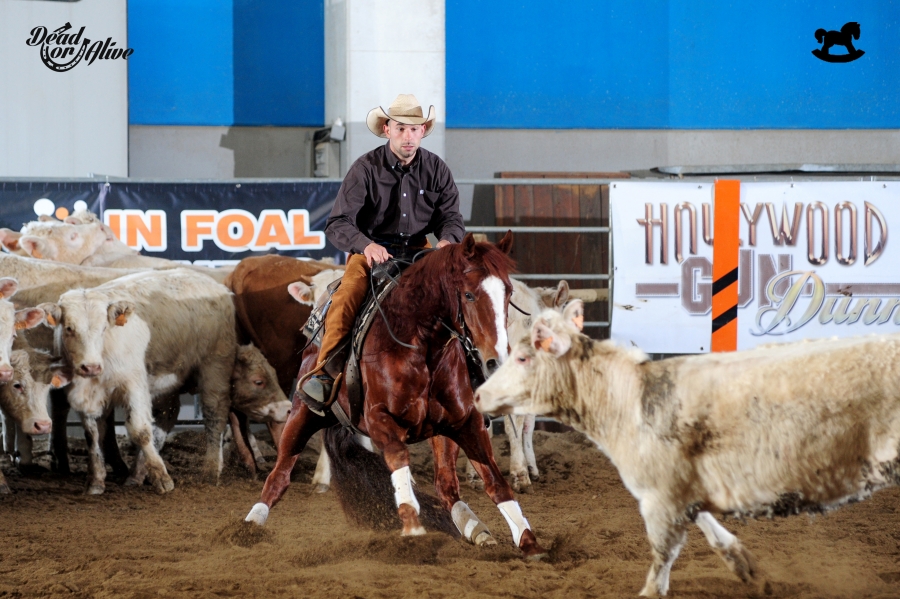 © Dead or Alive Photo