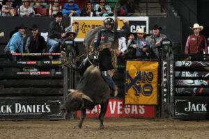 Photo by Bull Stock Media