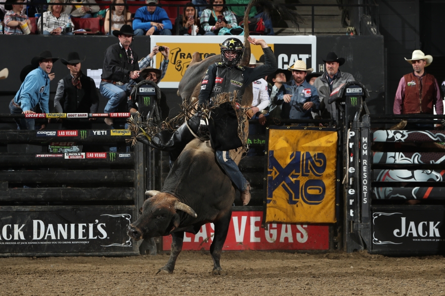 Photo by Bull Stock Media