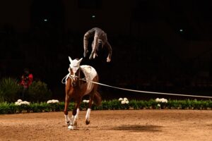 Photo by ©PhotosLesGarennes