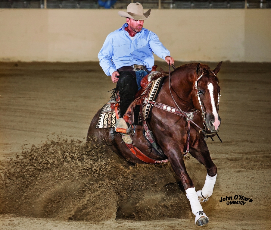 Photo by John O'Hara