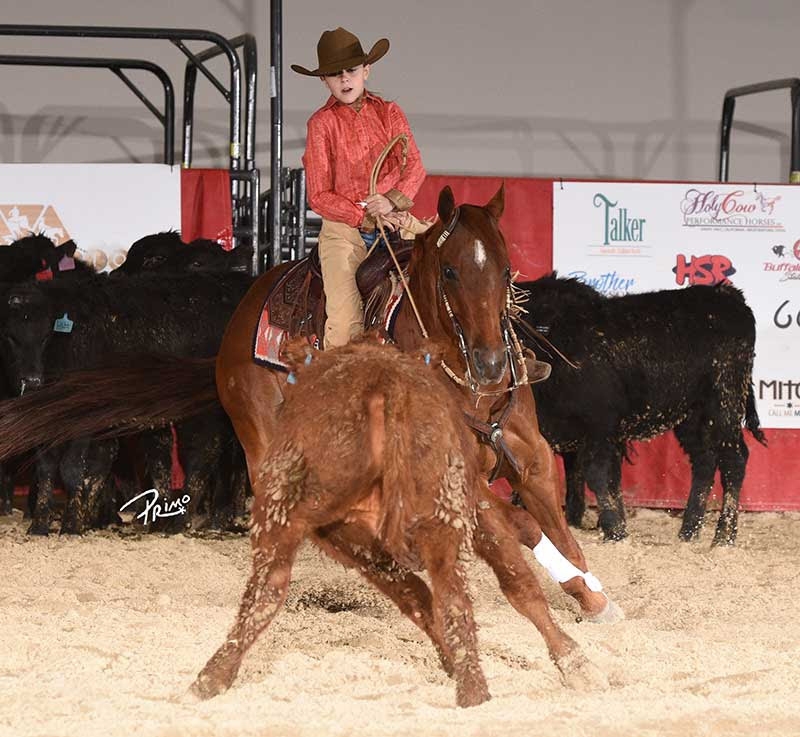 Photo Courtesy NRCHA