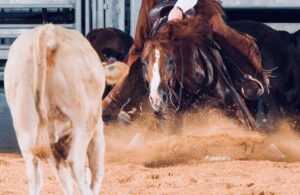 Phot by Ted Petit Photography