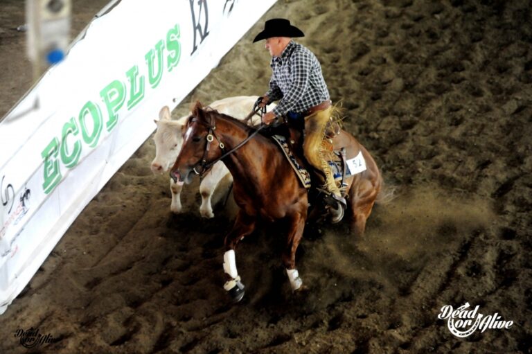 Photo by Dead or Alive