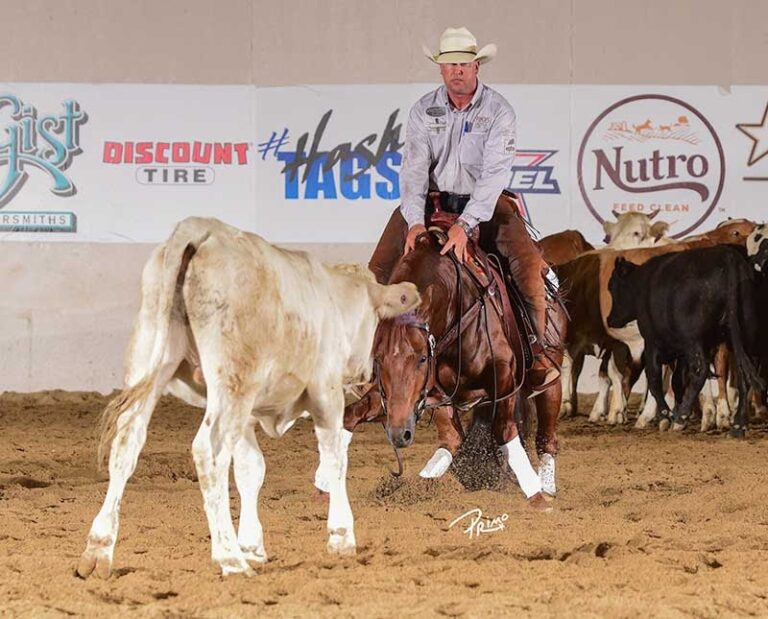 Photo courtesy by NRCHA/Primo Morales