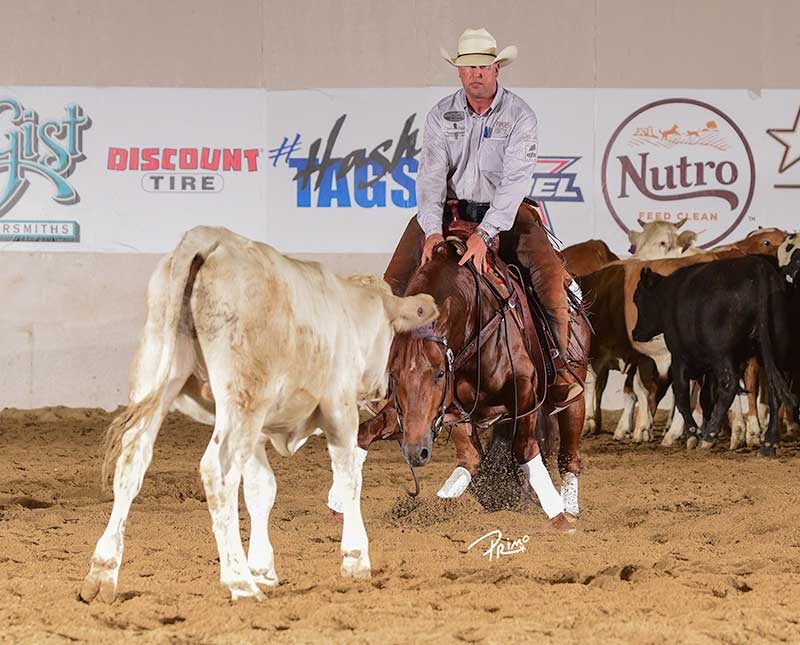 Photo courtesy by NRCHA/Primo Morales