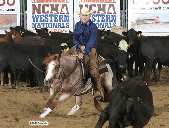 Photos Courtesy by NCHA/Ted Petit Photography