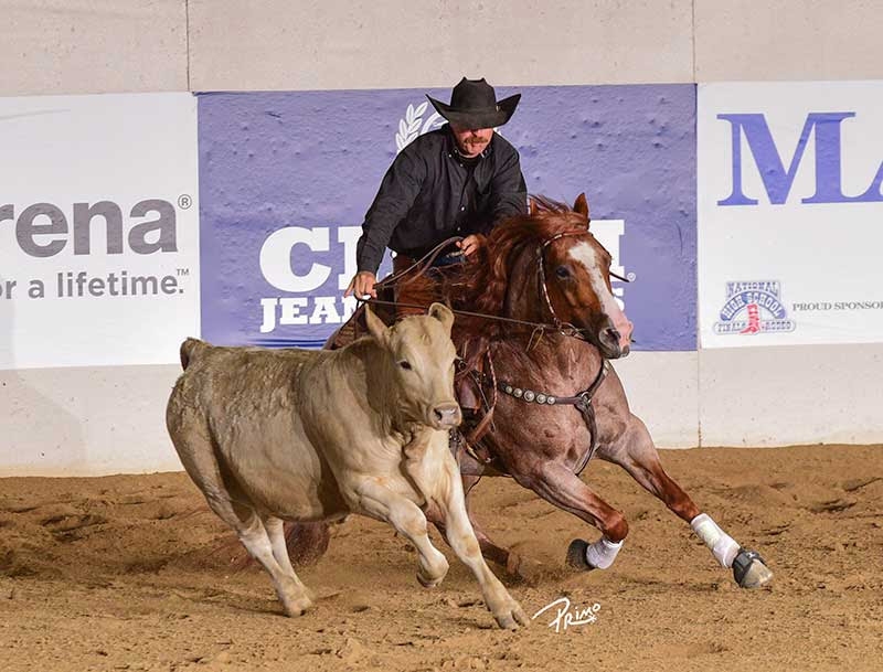 Photo courtesy by NRCHA/Primo Morales