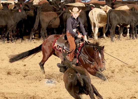 Photos Courtesy by NCHA/Ted Petit Photography