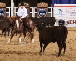 Photos Courtesy by NCHA/Ted Petit Photography