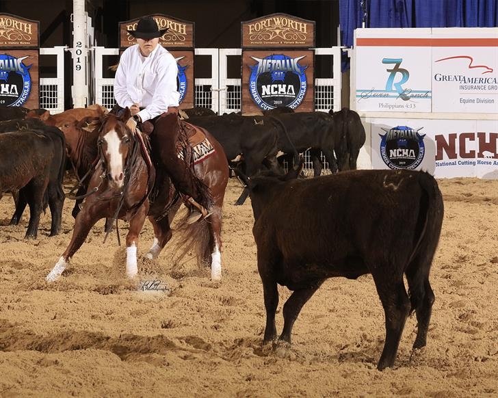 Photos Courtesy by NCHA/Ted Petit Photography