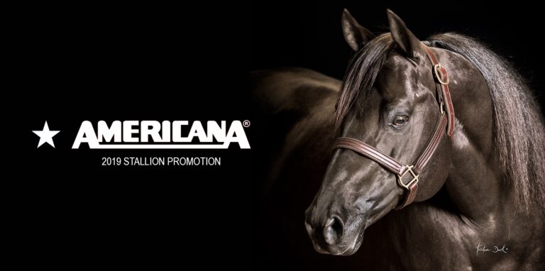 Photo Courtesy ©Tristan Dark Horses