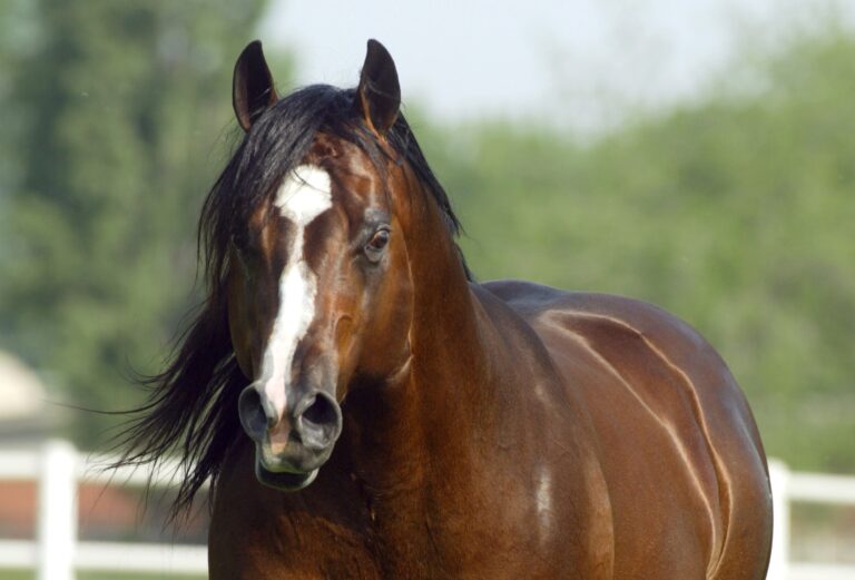 Photo by Bonaga Communication