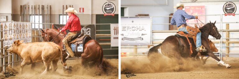 Photos @Dead Or Alive