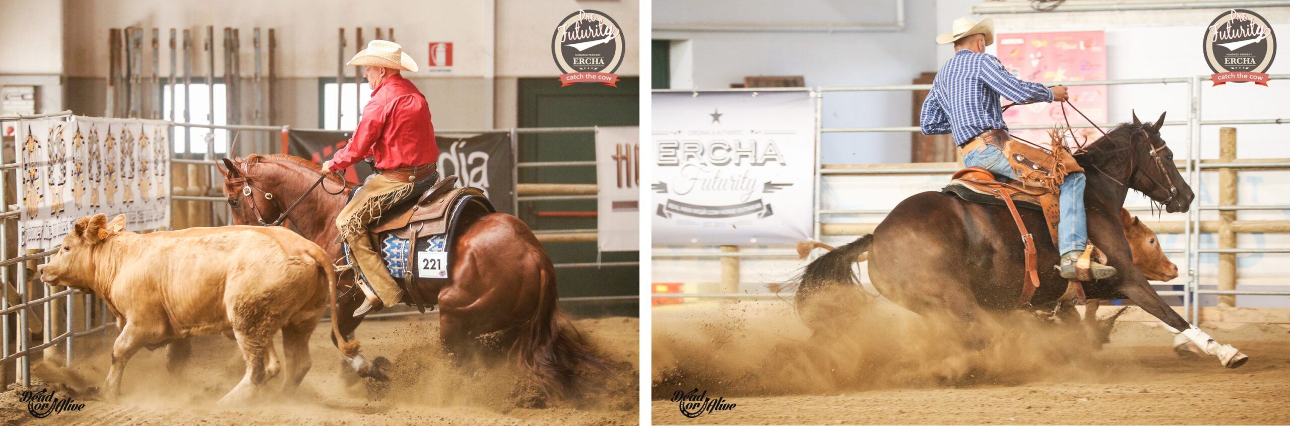 Photos @Dead Or Alive