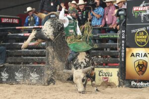 Photo courtesy of Andy Watson/Bull Stock Media