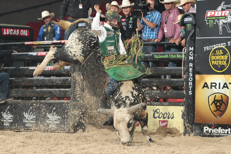 Photo courtesy of Andy Watson/Bull Stock Media