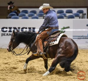 Photo Courtesy © www.cuttinghorsecentral.com