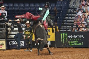 Photo courtesy @Andy Watson/Bull Stock Media.