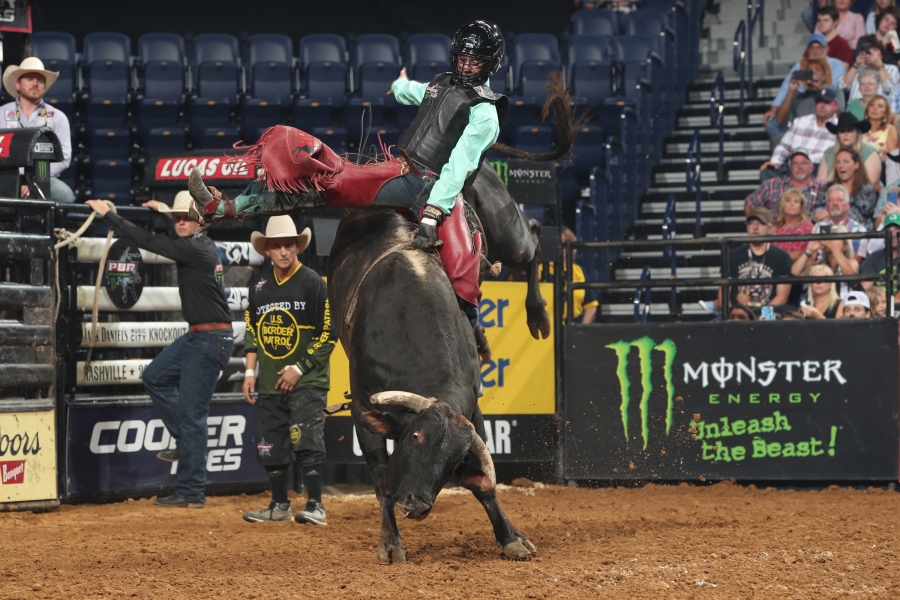 Photo courtesy @Andy Watson/Bull Stock Media.