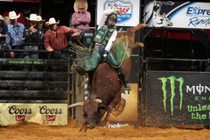 Photo courtesy of Andy Watson/Bull Stock Media