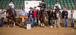 Photos by ©Tom Hautmann Photo & Design