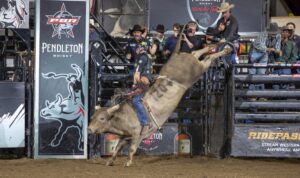 Photo courtesy of courtesy of ©Andre Silva