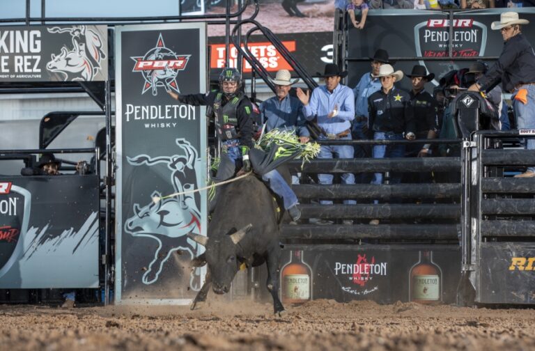 Photo Courtesy of ©Andre Silva, BullStock Media