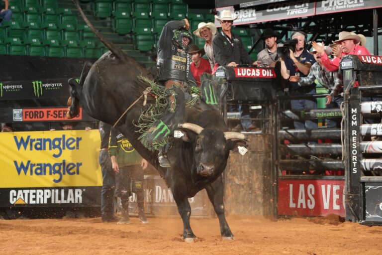 Photo courtesy of Andy Watson/Bull Stock Media for PBR