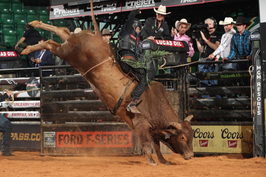 Photo Courtesy Andy Watson/Bull Stock Media