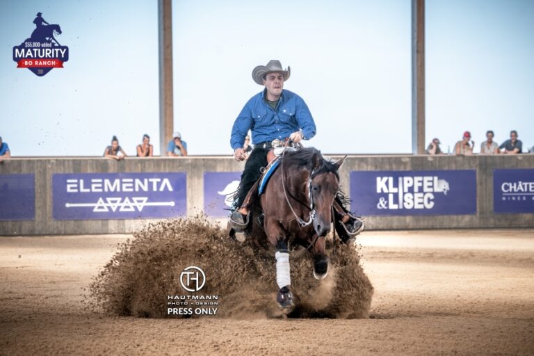 Photos by © Tom Hautmann