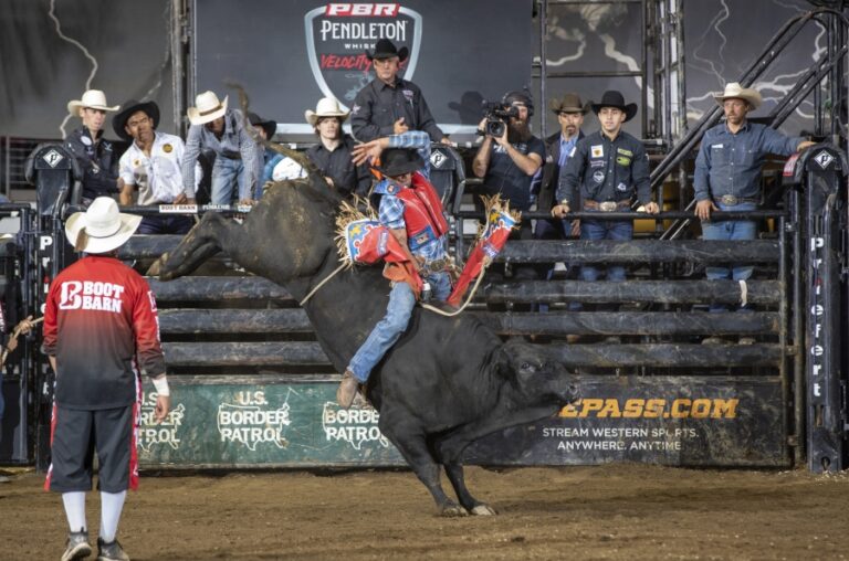 Photo courtesy of ©Andre Silva