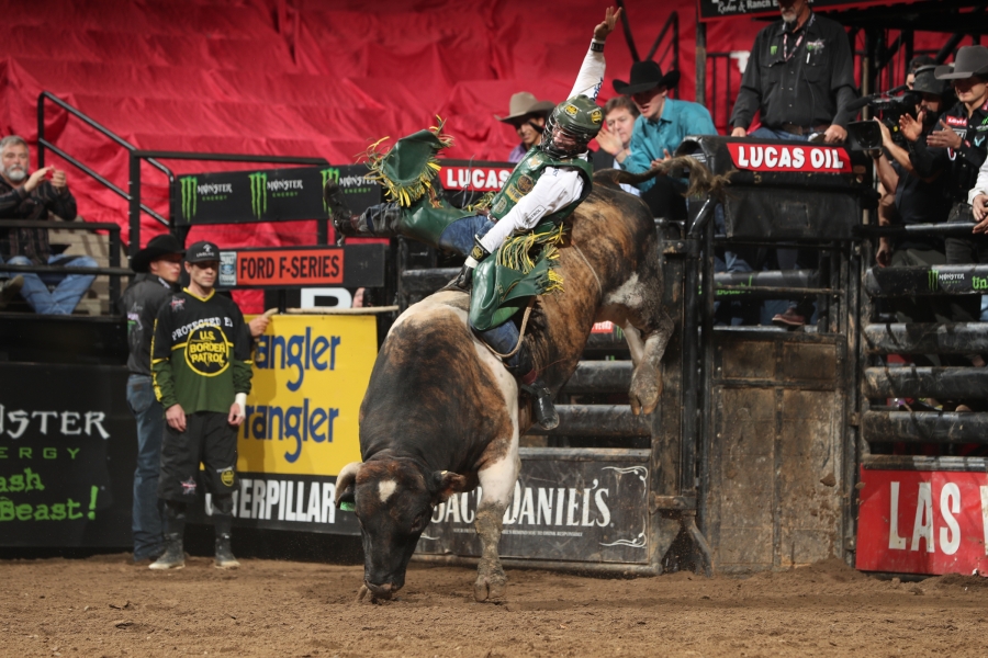 Photo Courtesy Andy Watson/Bull Stock Media