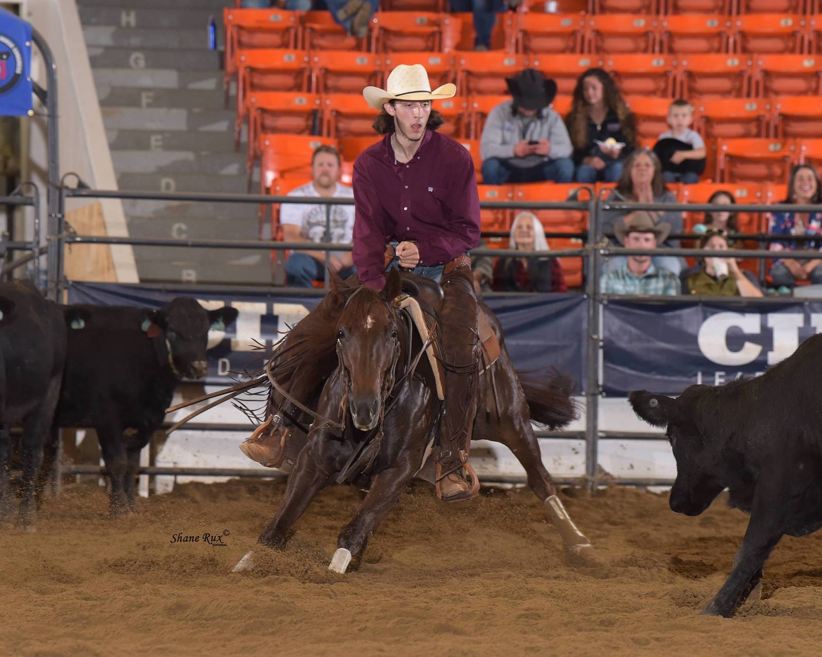 Photos courtesy of Shane Rux for All American Quarter Horse Congress
