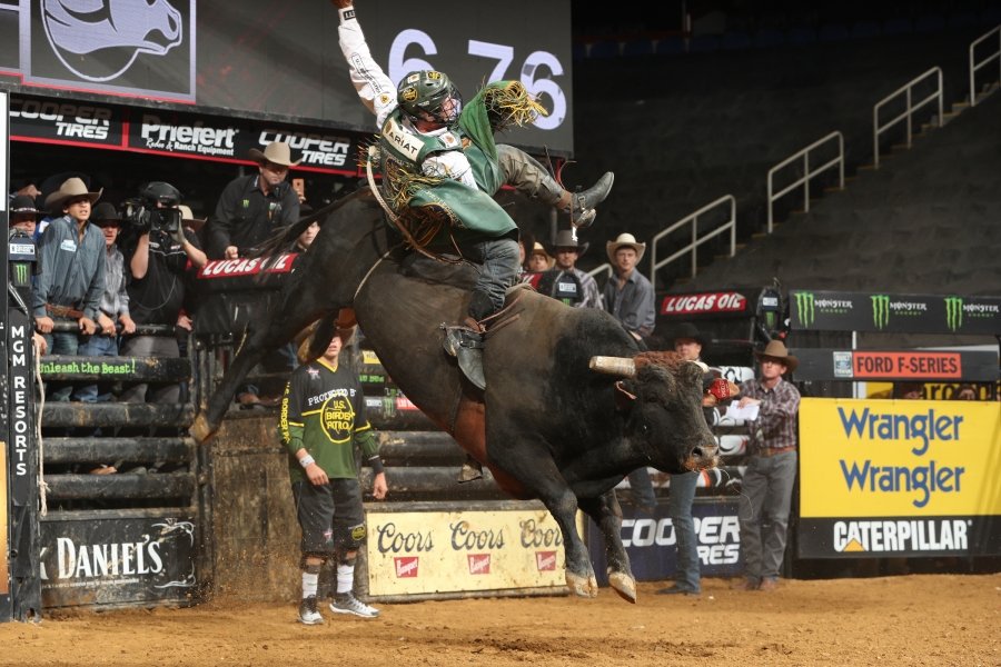 Photo courtesy of Andy Watson/Bull Stock Media