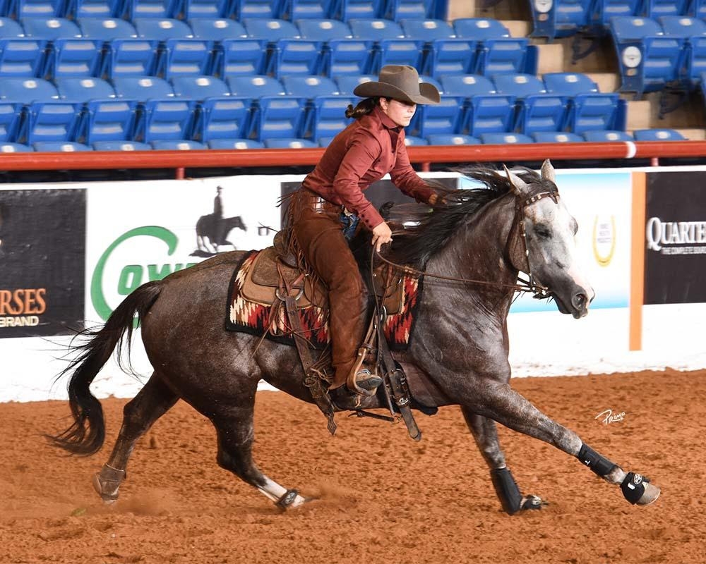 Photo courtesy NRCHA/Primo Morales