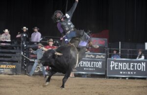 Photo courtesy of © Andre Silva