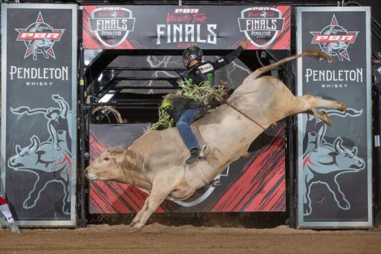 Photo courtesy of © Andre Silva