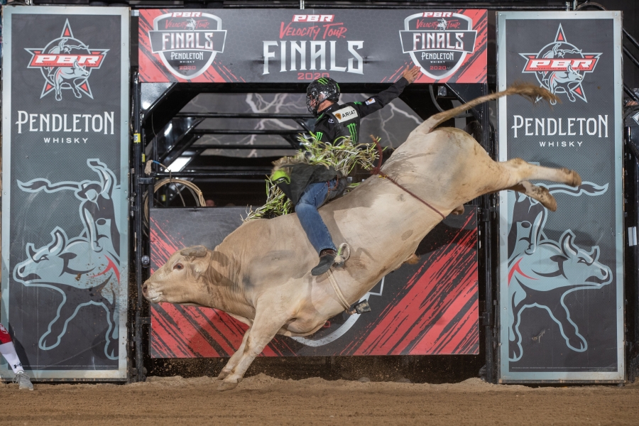 Photo courtesy of © Andre Silva